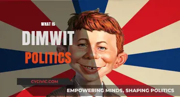 Understanding Dimwit Politics: Simplistic Policies and Their Societal Impact