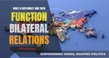 Diplomacy's Role in Bilateral Relations Explained