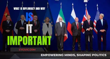 Diplomacy: A Vital Tool for Global Peace and Order