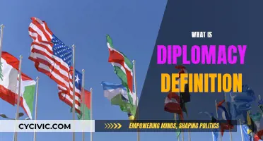 Diplomacy: Understanding the Art of Influence and Negotiation