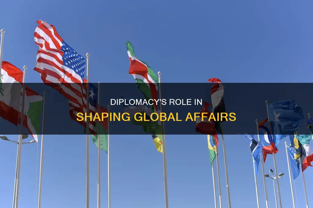 what is diplomacy essay