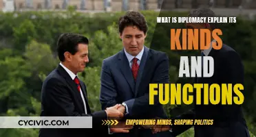 Diplomacy: Kinds, Functions, and Explanations