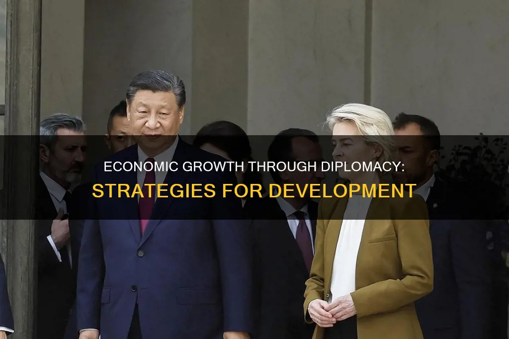 what is diplomacy for economic development