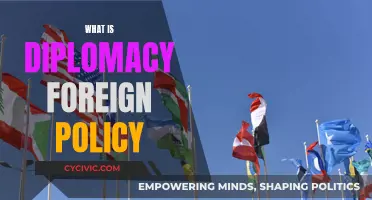 Diplomacy and Foreign Policy: Understanding Global Strategies