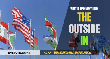 The Art of Diplomacy: An Outsider's Perspective