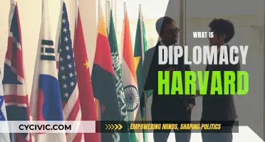 Diplomacy Decoded: Harvard's Approach to Global Relations
