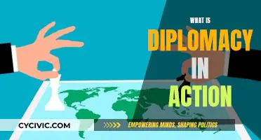 Diplomacy in Action: Understanding its Practical Applications