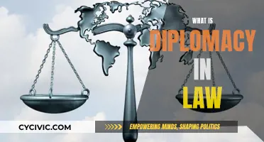 The Art of Diplomacy in Law: Understanding the Practice