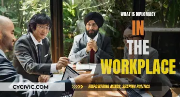 Diplomacy in the Workplace: Navigating Professional Relationships