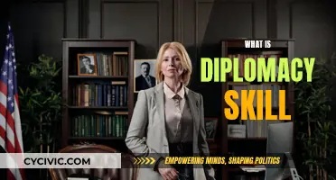 Mastering the Art of Diplomacy: A Skillful Approach