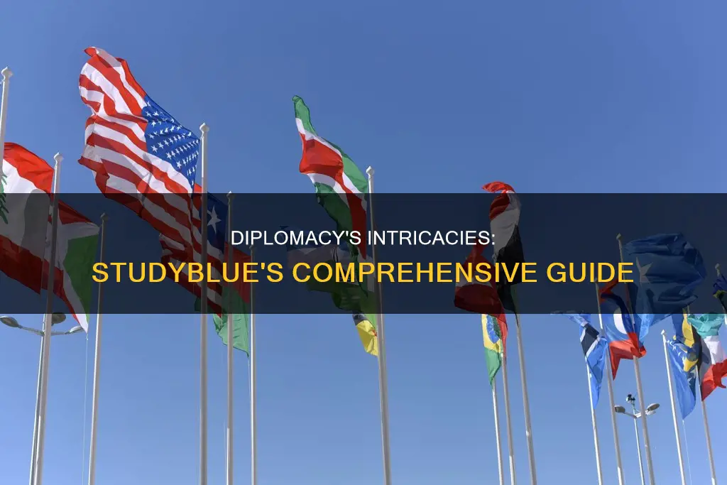 what is diplomacy studyblue