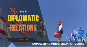 Diplomatic Relations: Understanding Global Engagement