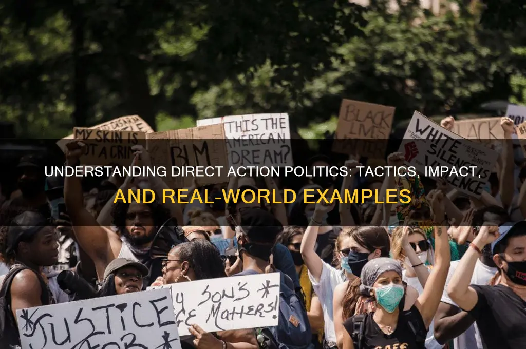 what is direct action politics