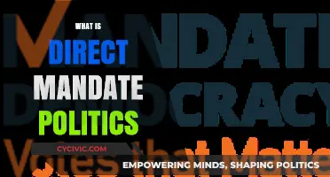 Understanding Direct Mandate Politics: Power, Representation, and Democracy Explained