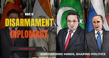 Disarmament Diplomacy: Understanding the Strategy to Reduce Arms