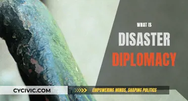 Disaster Diplomacy: A Force for Good?