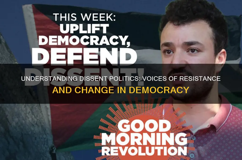 what is dissent politics