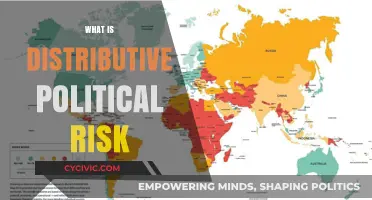 Understanding Distributive Political Risk: Causes, Impacts, and Mitigation Strategies