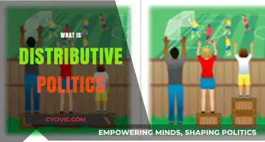Understanding Distributive Politics: How Governments Allocate Resources and Power