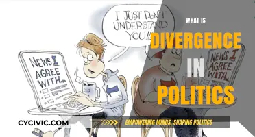 Understanding Political Divergence: Causes, Impacts, and Global Implications