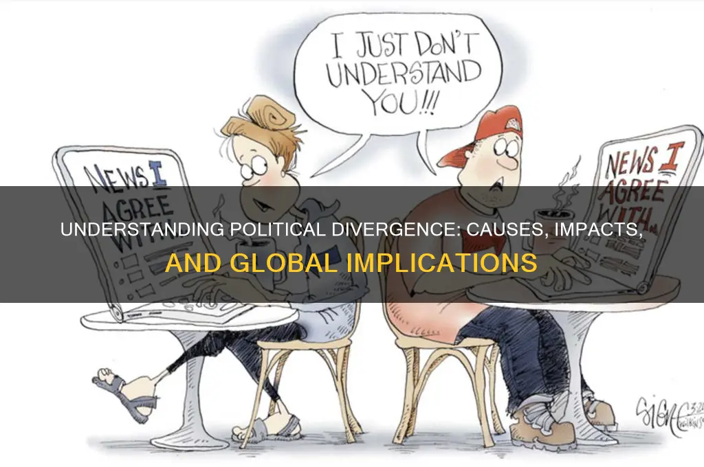 what is divergence in politics