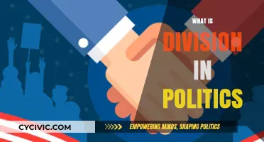 Understanding Political Division: Causes, Impacts, and Paths to Unity