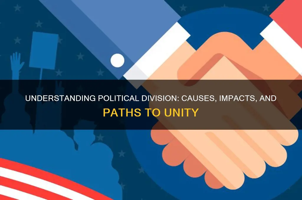what is division in politics