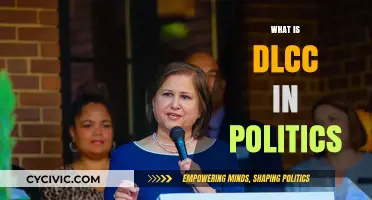 Understanding the Democratic Legislative Campaign Committee's Role in Politics