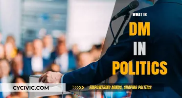 Understanding DM in Politics: Decoding Direct Messaging's Role in Campaigns