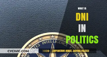 Understanding DNI: Role and Impact in Political Intelligence Systems