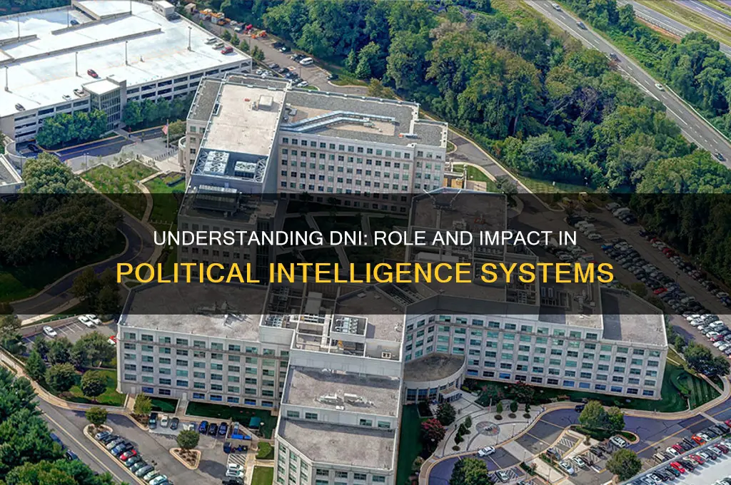 what is dni in politics