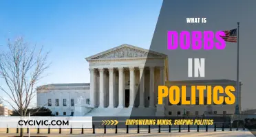 Understanding Dobbs: Political Implications of the Landmark Supreme Court Decision