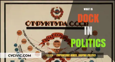 Understanding the Role of a Dock in Political Contexts and Functions