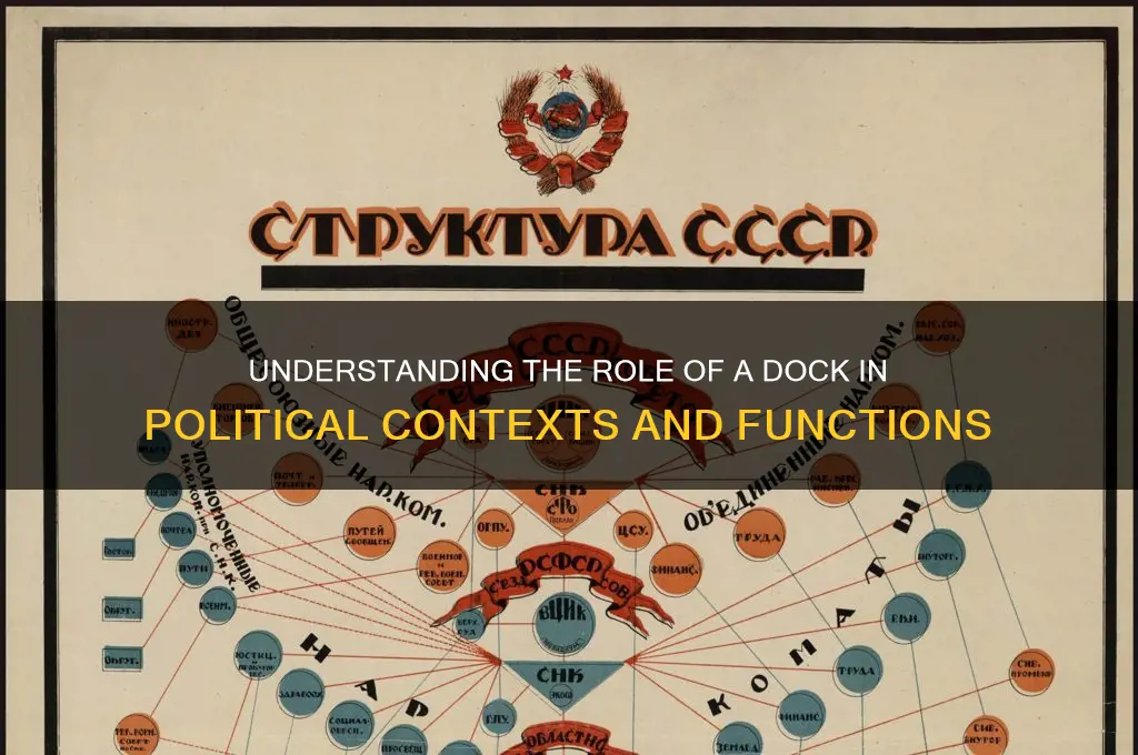 what is dock in politics