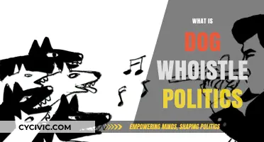 Decoding Dog Whistle Politics: Understanding Hidden Messages in Modern Campaigns