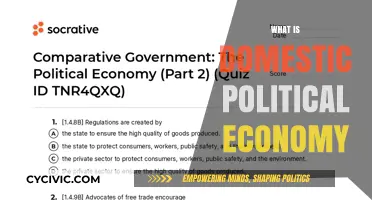 Understanding Domestic Political Economy: Power, Policy, and National Interests