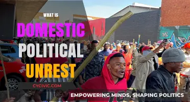Understanding Domestic Political Unrest: Causes, Impacts, and Solutions