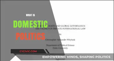 Understanding Domestic Politics: Local Governance, Policies, and Power Dynamics