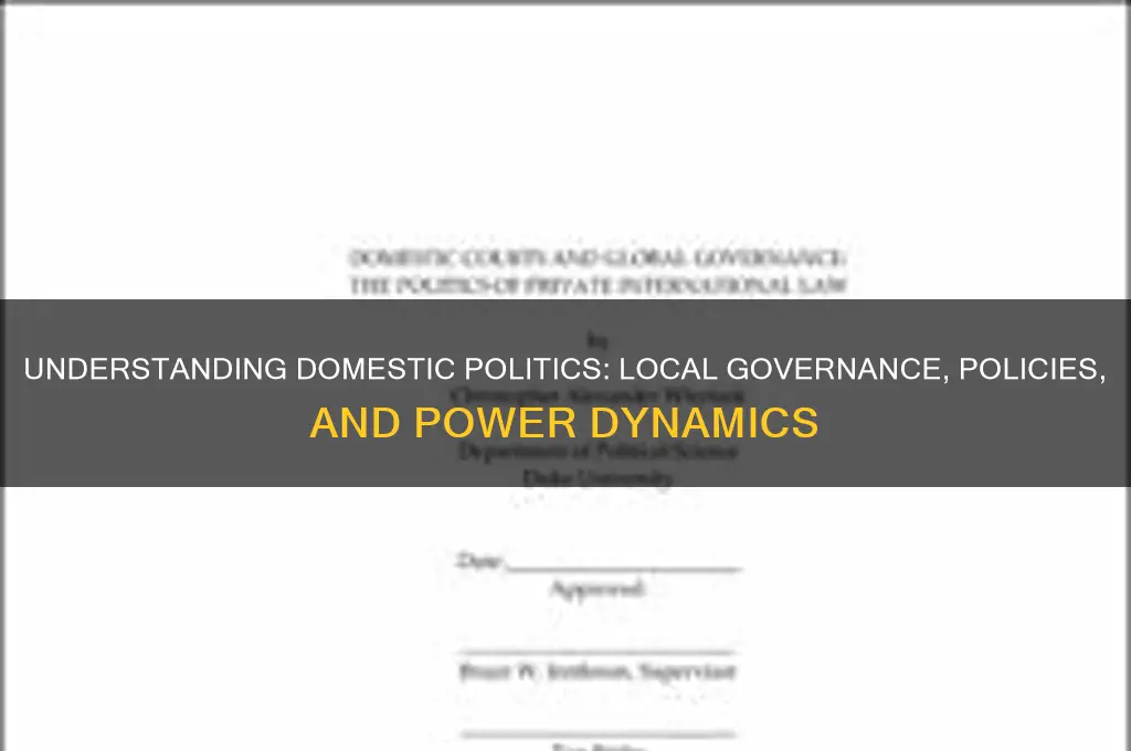 what is domestic politics