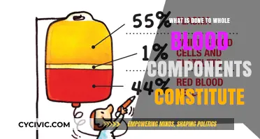 Whole Blood Components: What's Inside and Why?