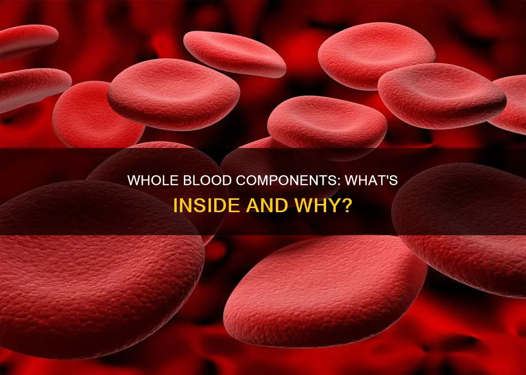 what is done to whole blood components constitute