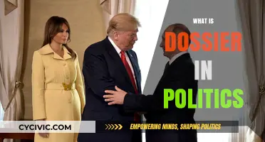 Understanding Political Dossiers: Their Role, Impact, and Controversies Explained