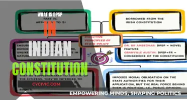 The Vital Role of DPSP in India's Constitution