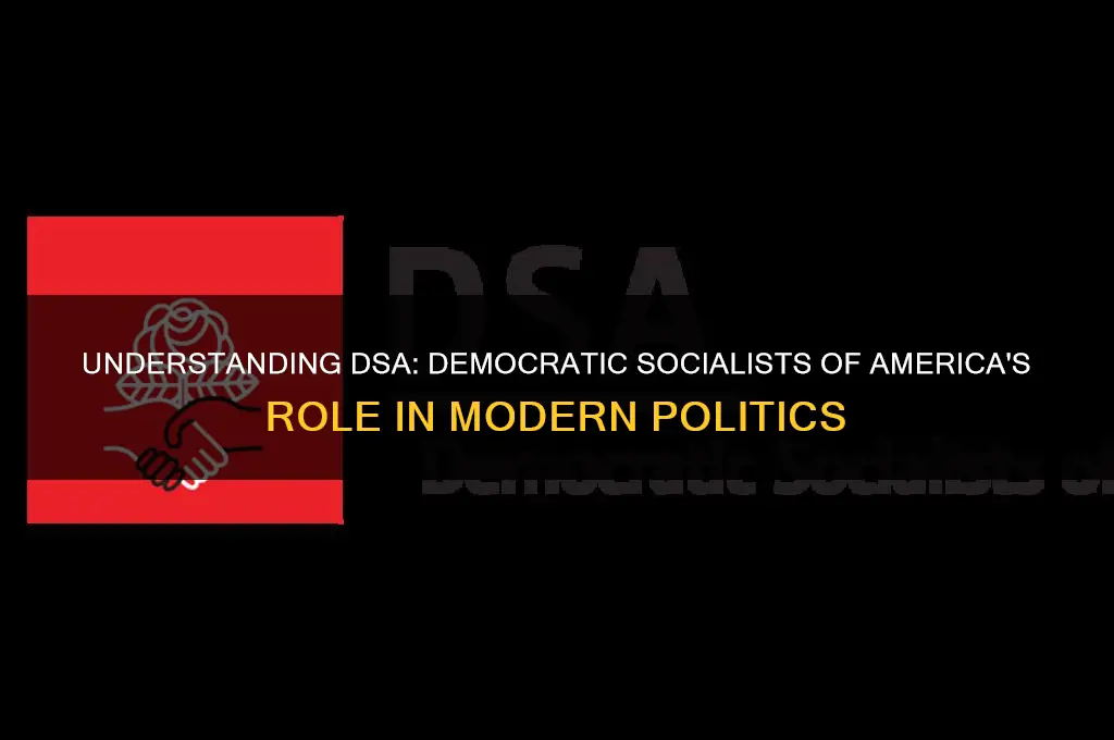 what is dsa in politics