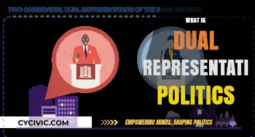 Understanding Dual Representation Politics: A Comprehensive Guide to Its Dynamics