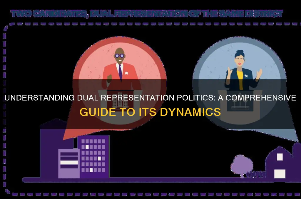 what is dual representation politics