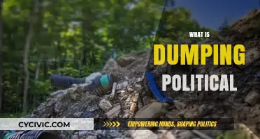 Understanding Political Dumping: Tactics, Impact, and Ethical Implications Explained