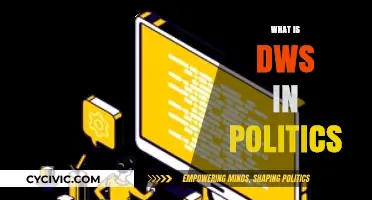 Understanding DWS: Decoding Its Role and Impact in Modern Politics