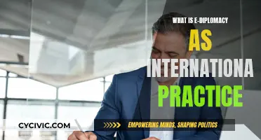 E-Diplomacy: International Practice's Digital Transformation