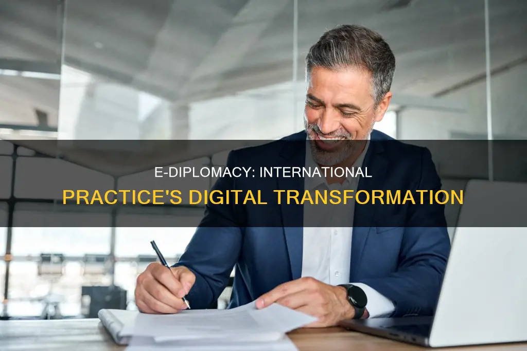 what is e-diplomacy as international practice